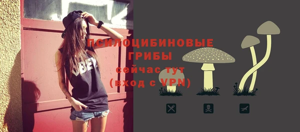 MESCALINE Корсаков