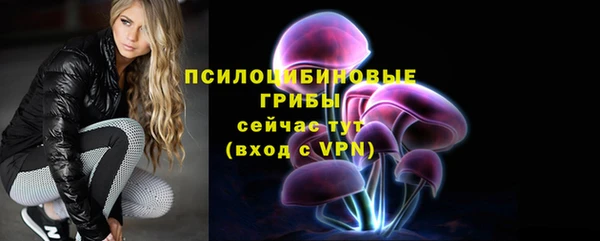 ГАЛЛЮЦИНОГЕННЫЕ ГРИБЫ Алзамай