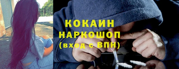 молекула духа Костерёво