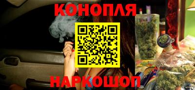 гашик Гусев