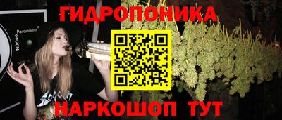 кристаллы Гусь-Хрустальный