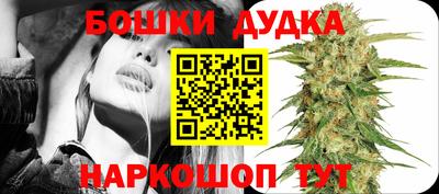 гашик Гусев