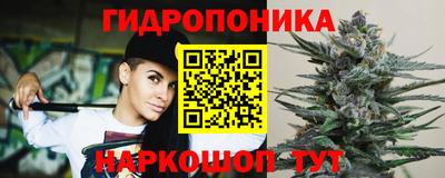 apvp Гусиноозёрск