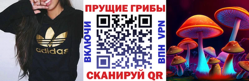 Галлюциногенные грибы MAGIC MUSHROOMS  Петропавловск-Камчатский 