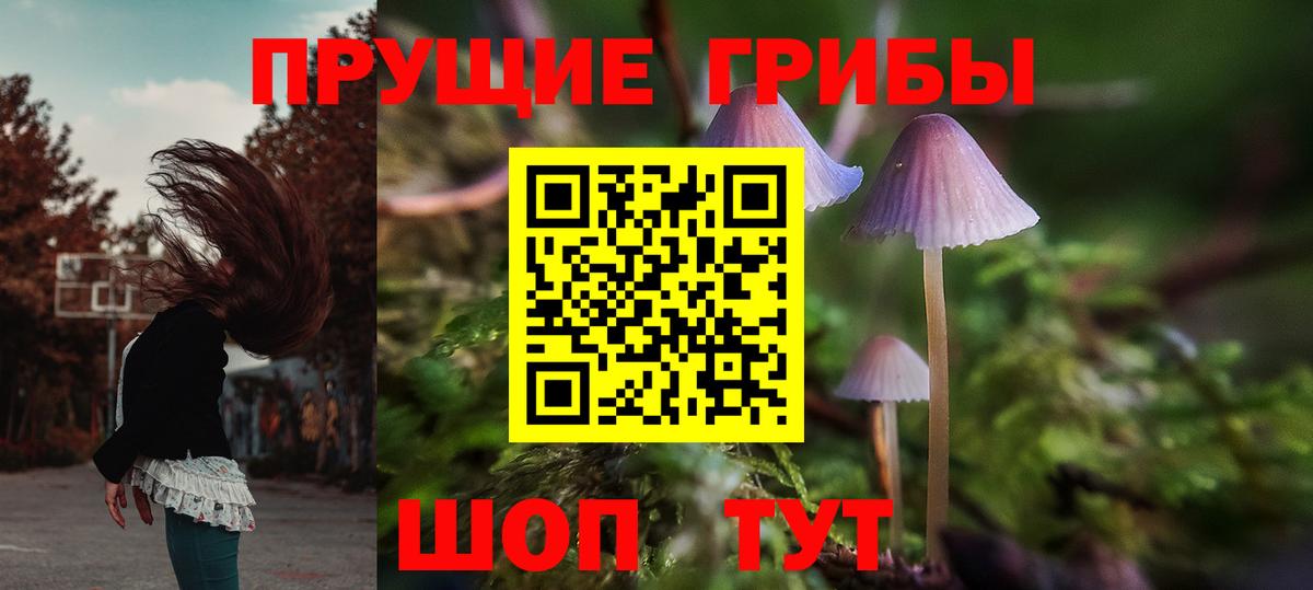 Псилоцибиновые грибы Cubensis  Вход с VPN  Петропавловск-Камчатский 