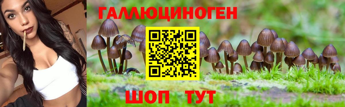 Псилоцибиновые грибы MAGIC MUSHROOMS Петропавловск-Камчатский
